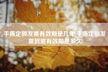 手撕定额发票有效期是几年,手撕定额发票到底有效期是多久