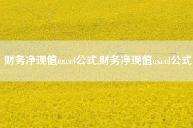 财务净现值excel公式,财务净现值excel公式