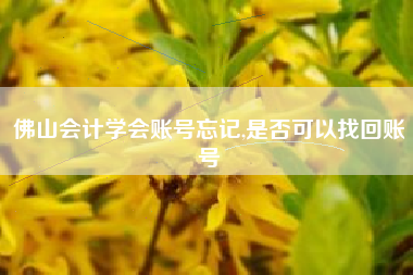 佛山会计学会账号忘记,是否可以找回账号