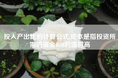 投入产出比的计算公式,成本是指投资所需的资金ROI的值越高