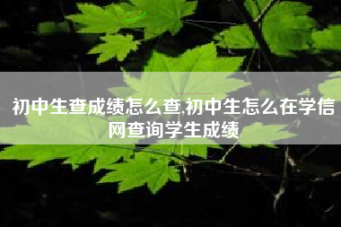 初中生查成绩怎么查,初中生怎么在学信网查询学生成绩