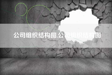 公司组织结构图,公司组织结构图