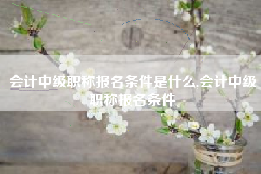 会计中级职称报名条件是什么,会计中级职称报名条件