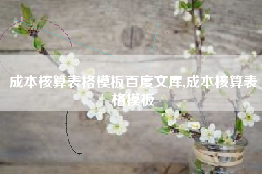 成本核算表格模板百度文库,成本核算表格模板