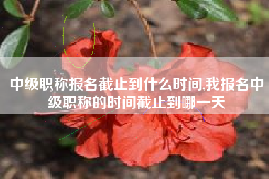 中级职称报名截止到什么时间,我报名中级职称的时间截止到哪一天