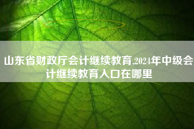 山东省财政厅会计继续教育,2024年中级会计继续教育入口在哪里