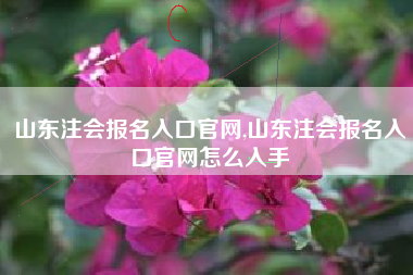 山东注会报名入口官网,山东注会报名入口官网怎么入手