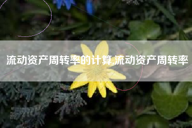 流动资产周转率的计算,流动资产周转率