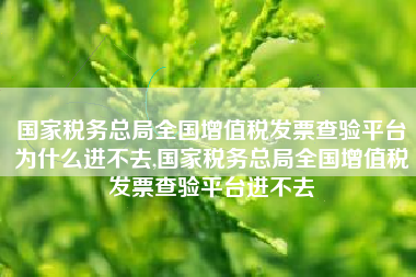 国家税务总局全国增值税发票查验平台为什么进不去,国家税务总局全国增值税发票查验平台进不去