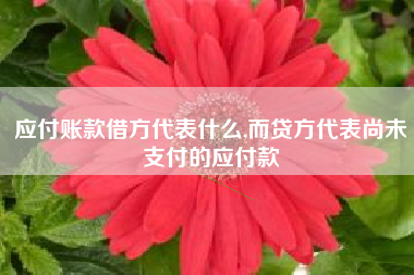 应付账款借方代表什么,而贷方代表尚未支付的应付款