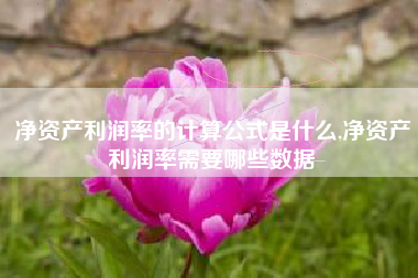 净资产利润率的计算公式是什么,净资产利润率需要哪些数据