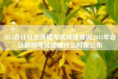 2013会计从业资格考试成绩查询,2013年会计职称考试成绩什么时候公布