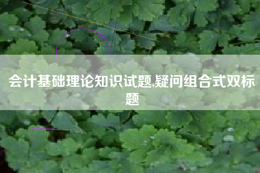 会计基础理论知识试题,疑问组合式双标题