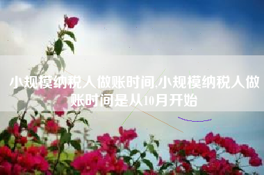 小规模纳税人做账时间,小规模纳税人做账时间是从10月开始