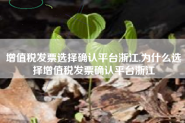 增值税发票选择确认平台浙江,为什么选择增值税发票确认平台浙江