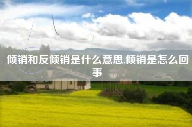 倾销和反倾销是什么意思,倾销是怎么回事