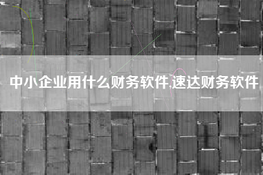 中小企业用什么财务软件,速达财务软件