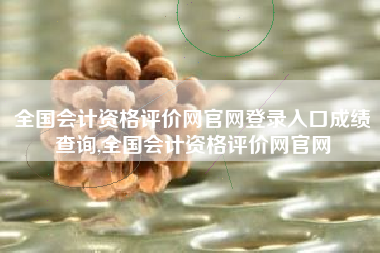 全国会计资格评价网官网登录入口成绩查询,全国会计资格评价网官网