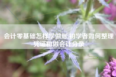 会计零基础怎样学做账,初学者如何整理凭证和做会计分录