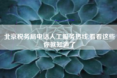 北京税务局电话人工服务热线,看看这些你就知道了