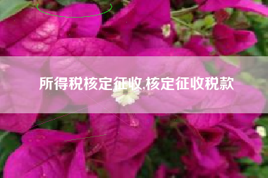 所得税核定征收,核定征收税款