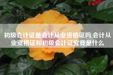初级会计证是会计从业资格证吗,会计从业资格证和初级会计证究竟是什么