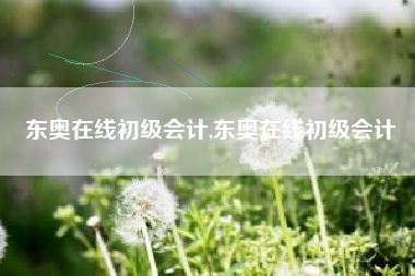 东奥在线初级会计,东奥在线初级会计