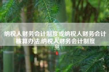纳税人财务会计制度或纳税人财务会计核算办法,纳税人财务会计制度