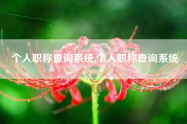 个人职称查询系统,个人职称查询系统