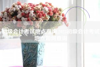 初级会计考试地点查询,2023初级会计考试地点如何查询