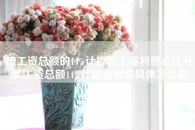按工资总额的14%计提职工福利费会计分录,工资总额14%计提福利费具体怎么做