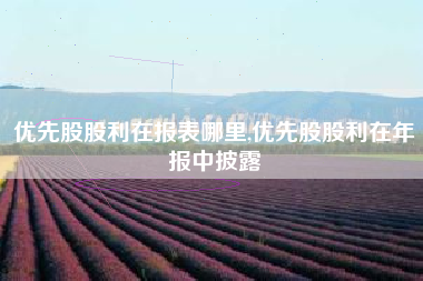 优先股股利在报表哪里,优先股股利在年报中披露