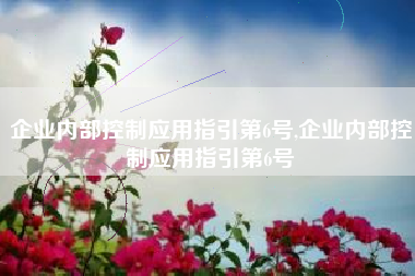 企业内部控制应用指引第6号,企业内部控制应用指引第6号