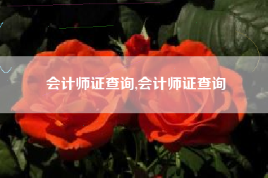 会计师证查询,会计师证查询