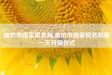 潍坊市国家税务局,潍坊市国家税务局新一天升旗仪式