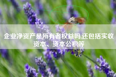 企业净资产是所有者权益吗,还包括实收资本、资本公积等