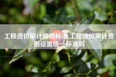 工程造价审计收费标准,工程造价审计费用设置统一标准吗