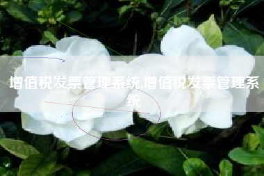 增值税发票管理系统,增值税发票管理系统