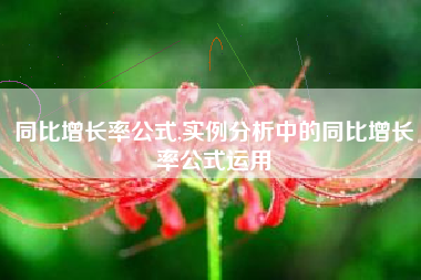 同比增长率公式,实例分析中的同比增长率公式运用