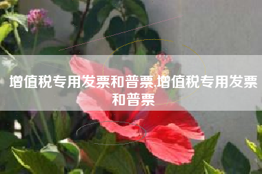 增值税专用发票和普票,增值税专用发票和普票