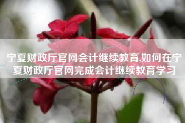 宁夏财政厅官网会计继续教育,如何在宁夏财政厅官网完成会计继续教育学习