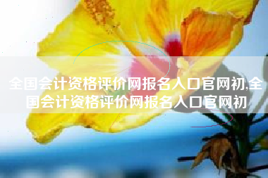 全国会计资格评价网报名入口官网初,全国会计资格评价网报名入口官网初