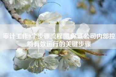 审计工作9个步骤流程图,保证公司内部控制有效运行的关键步骤