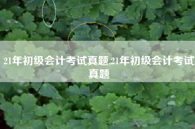 21年初级会计考试真题,21年初级会计考试真题