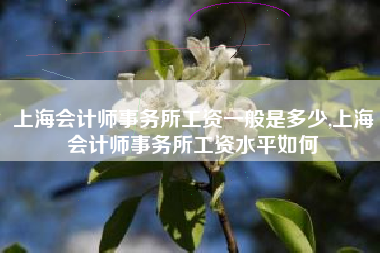 上海会计师事务所工资一般是多少,上海会计师事务所工资水平如何