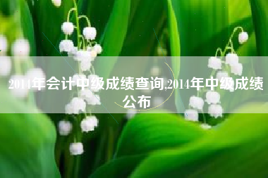 2014年会计中级成绩查询,2014年中级成绩公布