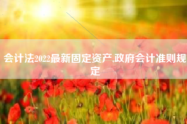 会计法2022最新固定资产,政府会计准则规定