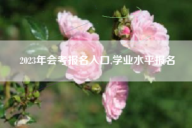 2023年会考报名入口,学业水平报名