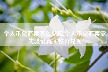 个人承兑汇票怎么兑现,个人承兑汇票需先验证真实性再兑现