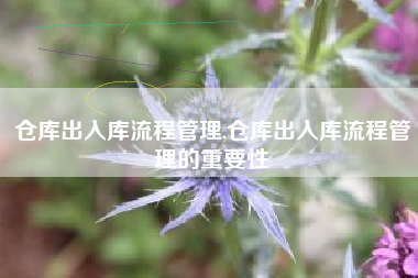 仓库出入库流程管理,仓库出入库流程管理的重要性